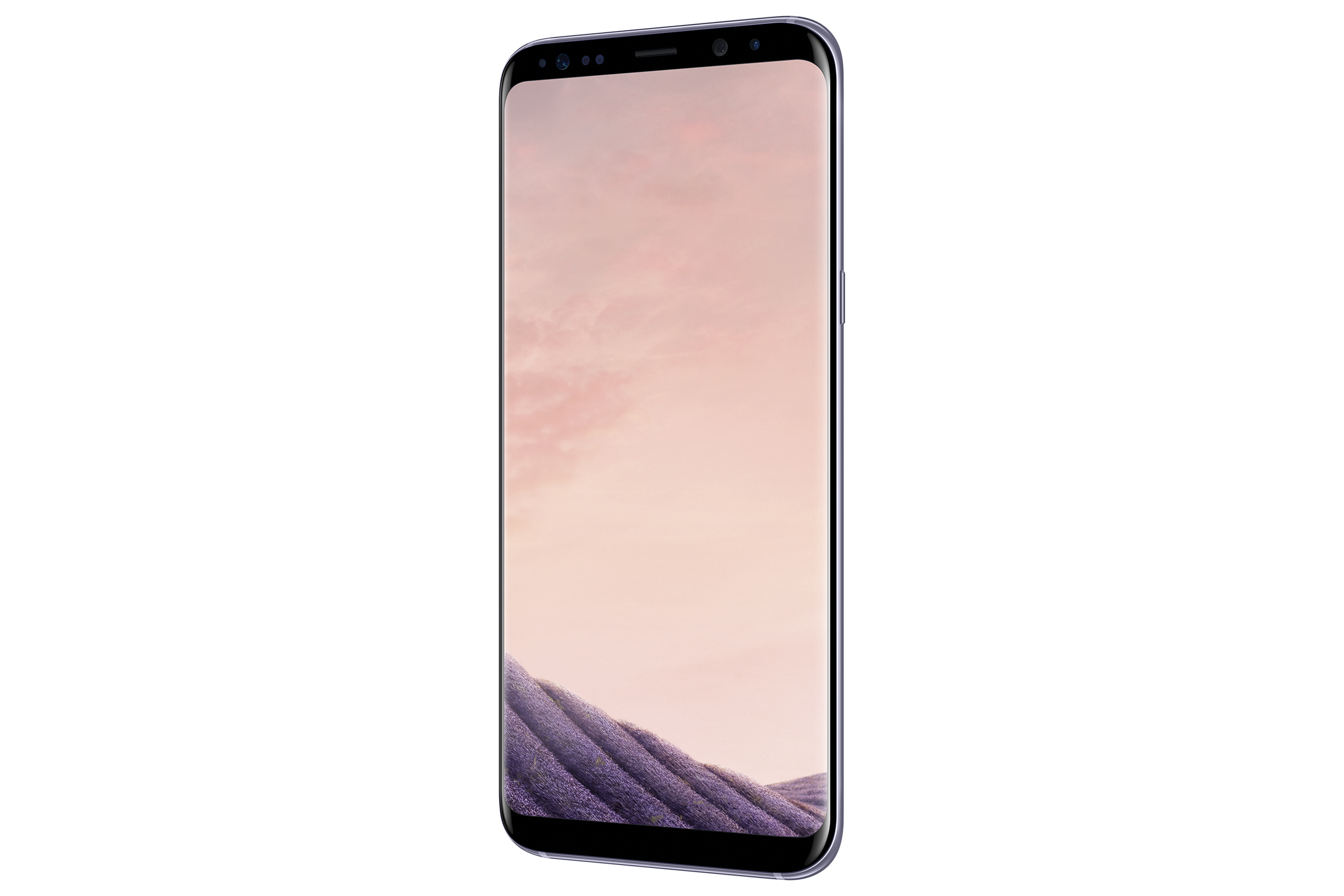 SAMSUNG Galaxy S8+ 64 GB Orchid Grey