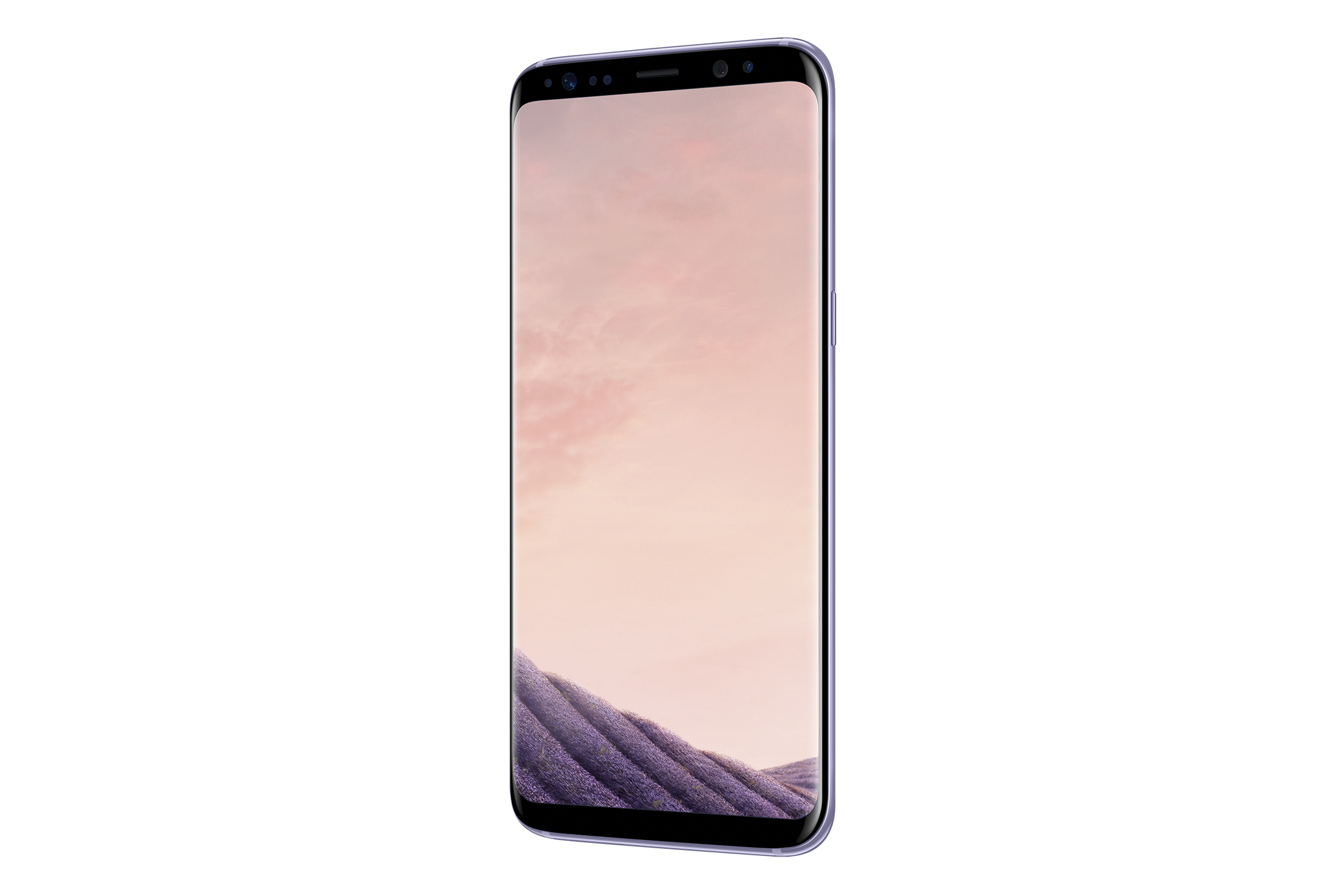 SAMSUNG Galaxy S8 64 GB Orchid Grey