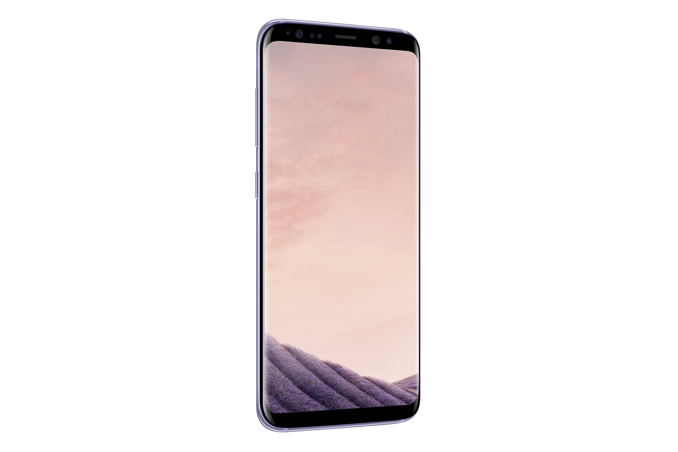 SAMSUNG Galaxy S8 64 GB Orchid Grey