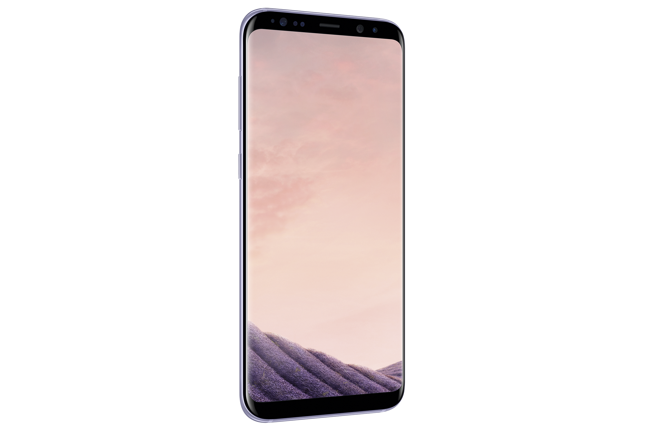 Smartphone, Lavendelfarbe, mit Bildschirm, der eine Lavendellandschaft zeigt. Schwarzer Hintergrund.