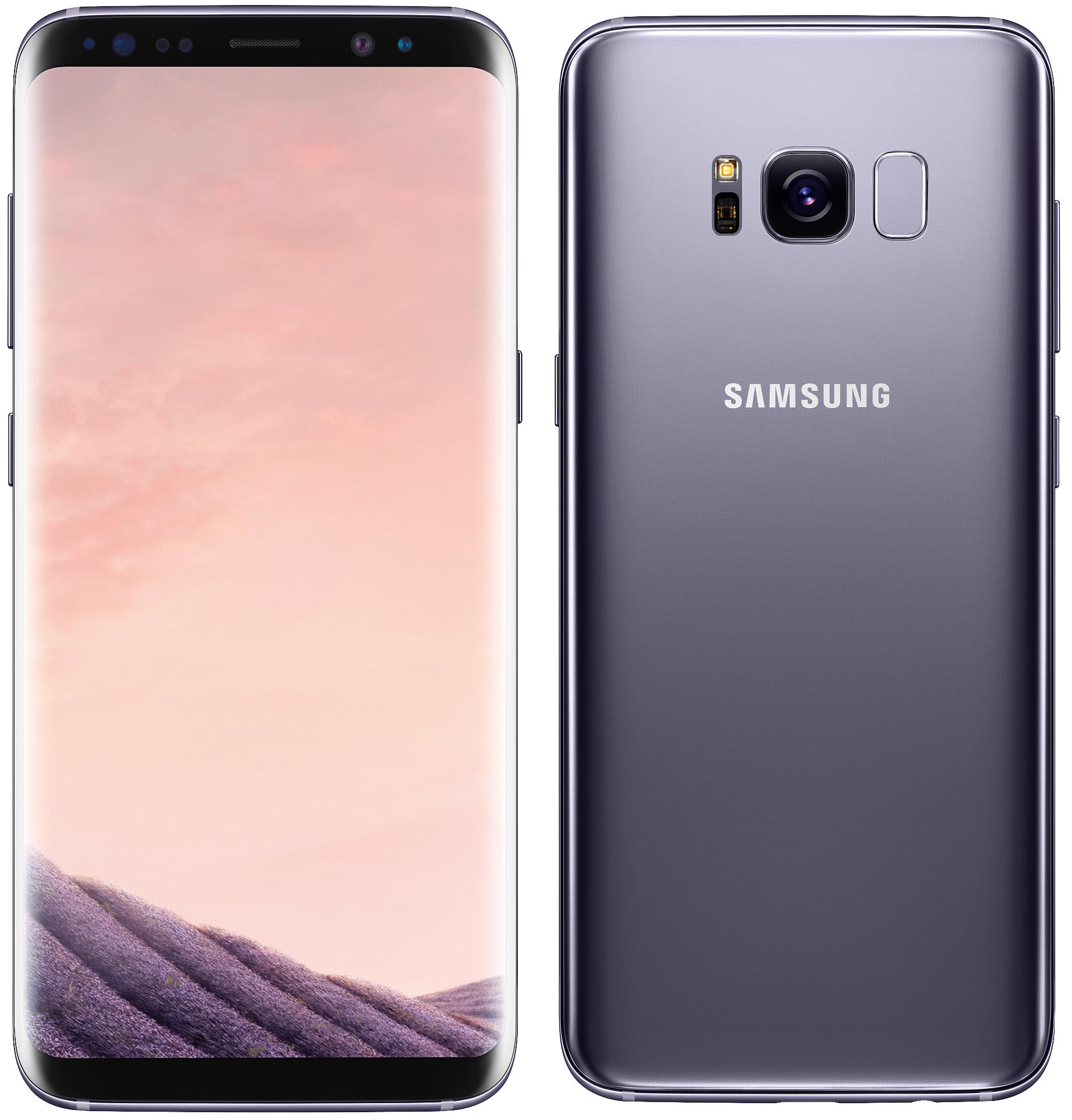 SAMSUNG Galaxy S8 64 GB Orchid Grey