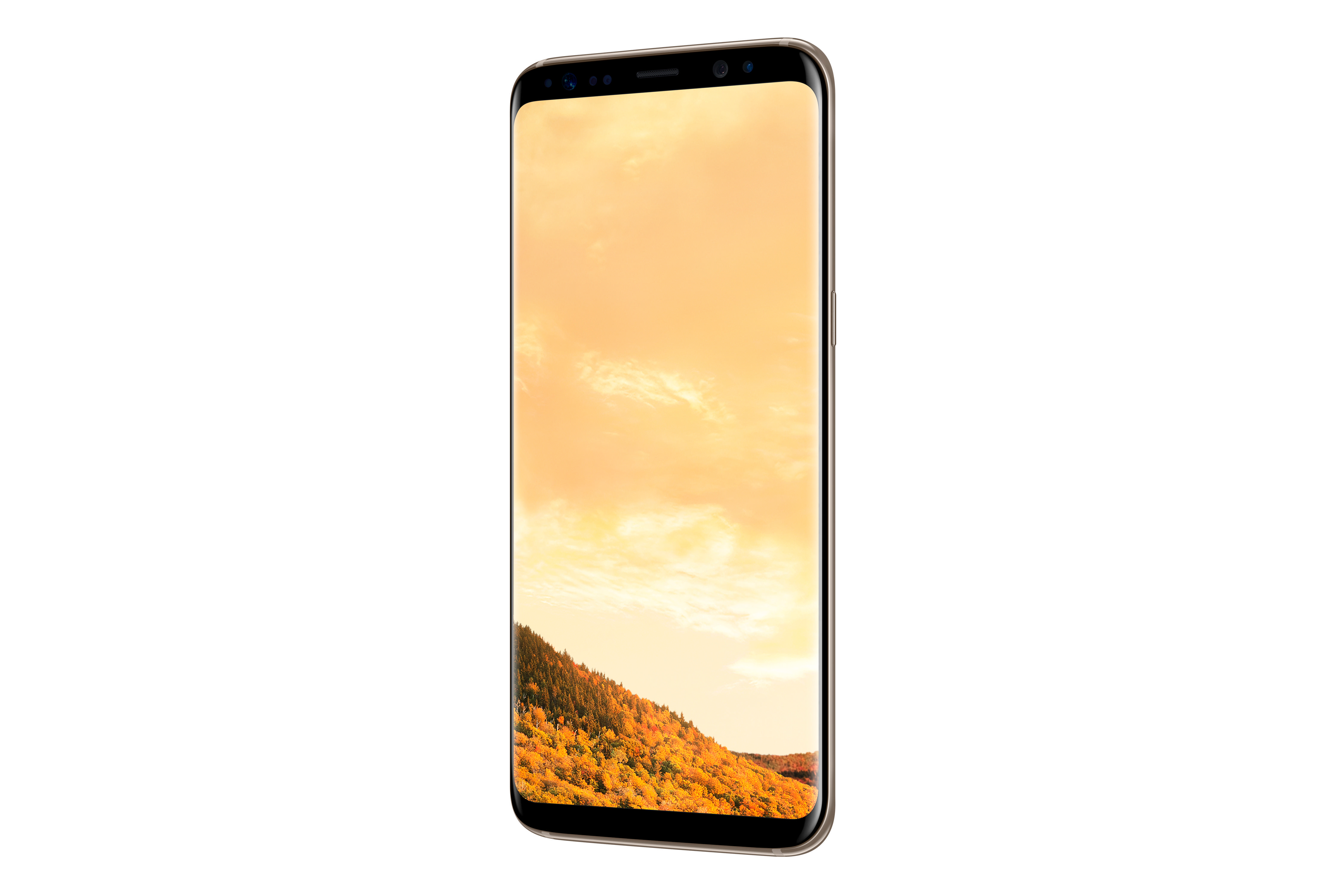 SAMSUNG Galaxy S8 Plus 64GB Akıllı Telefon Gold