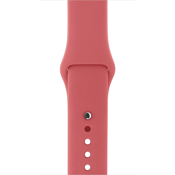 APPLE MPUK2ZM/A, Ersatzarmband, Kamelie