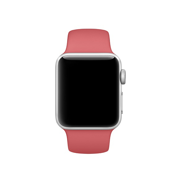 APPLE MPUK2ZM/A, Ersatzarmband, Kamelie