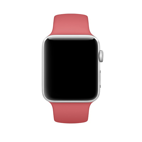 APPLE MPUW2ZM/A, Ersatzarmband, Kamelie