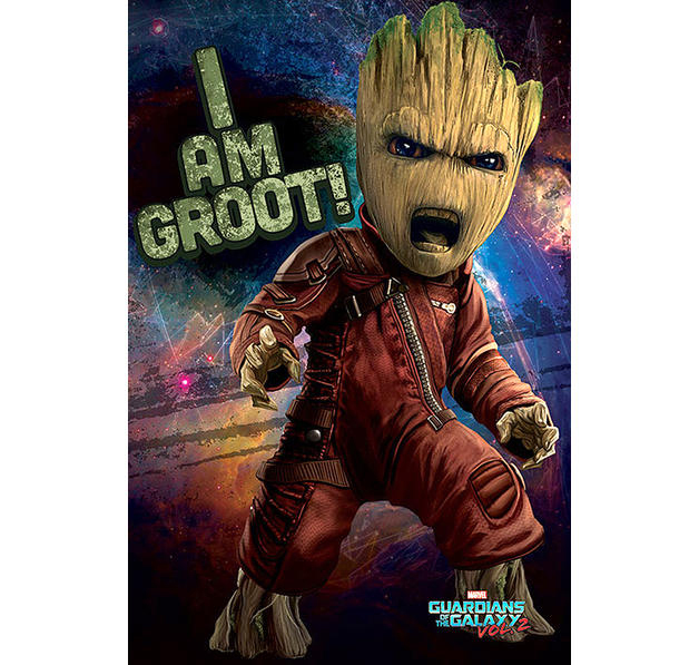 Poster Poster INTERNATIONAL Groot\