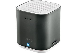 PEAQ PPA21BT - Enceinte Bluetooth (Argent)