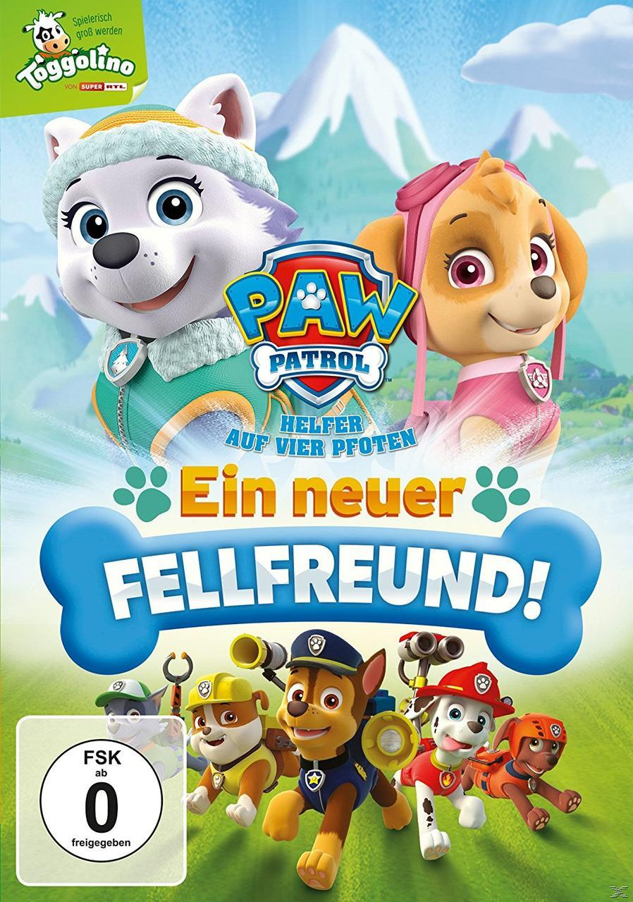 Paw Patrol DVD-Cover. Enthält Zeichentrickhunde, Text auf Deutsch und einen Zeichentrickhund im Hintergrund.