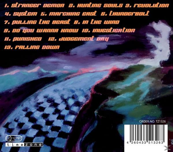 Agentpunch - Investigation  - (CD)