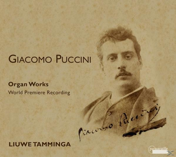 Tamminga Liuwe - Orgelwerke Vol.2  - (CD)