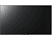 SONY KD-49XE7005 - TV (49 ", UHD 4K, )