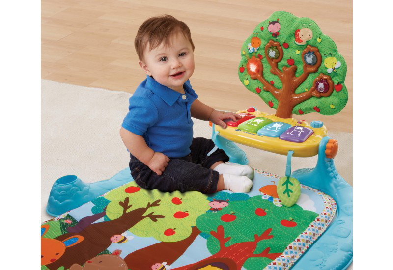 VTECH Musik Spieldecke Spieldecke, Mehrfarbig