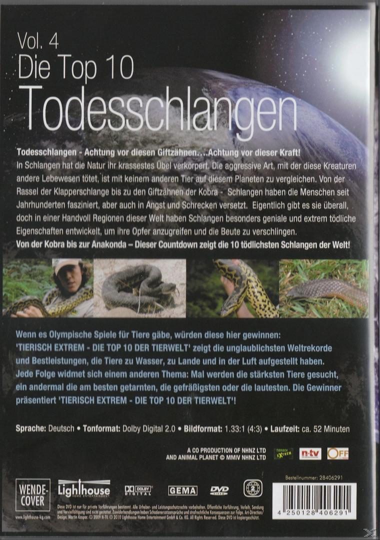 Tierisch Extrem - Die Top 10 der Tierwelt - Vol. 4: Todesschlangen DVD