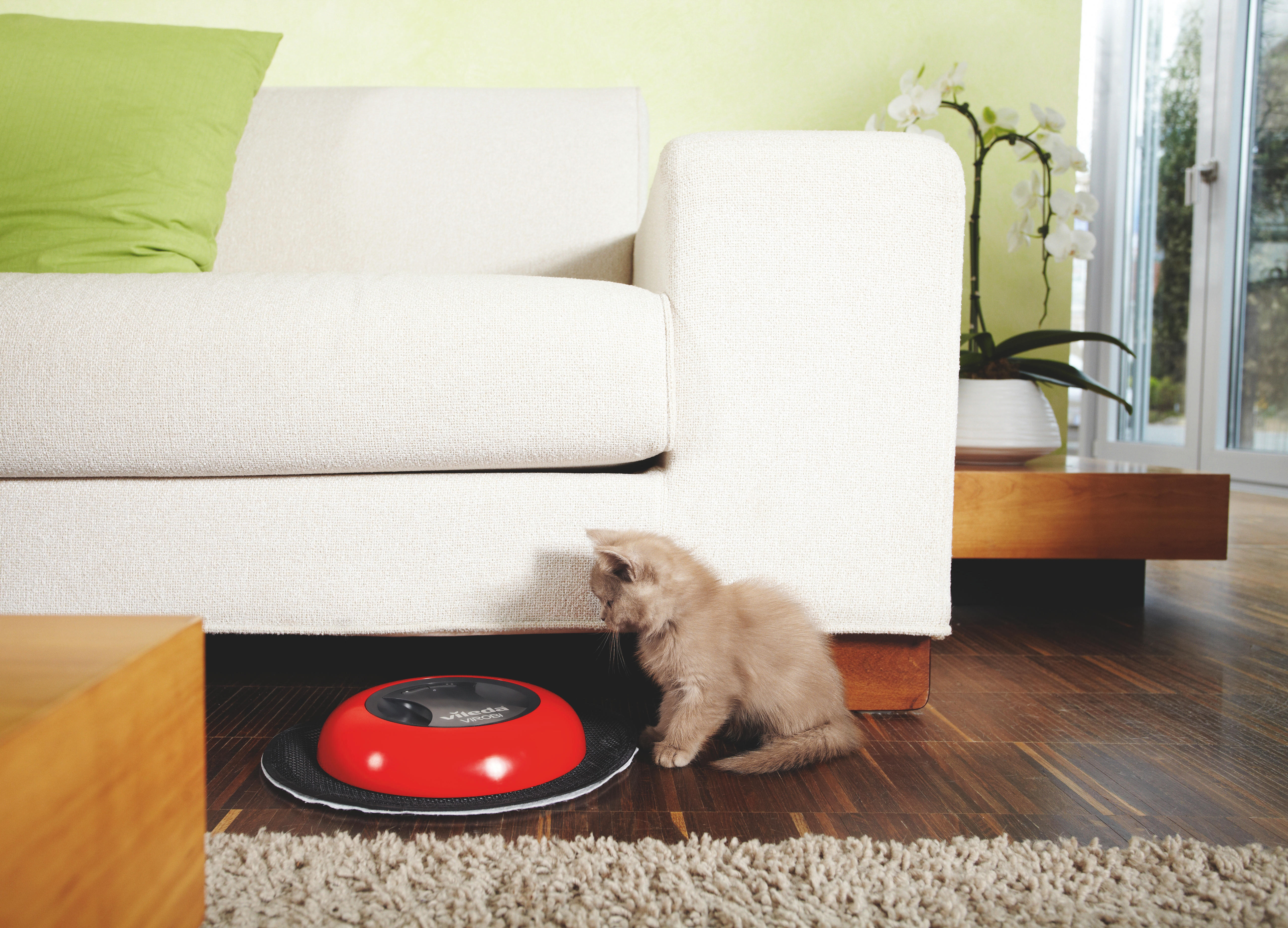 Eine Katze untersucht einen roten Reinigungsroboter unter einem Sofa.
