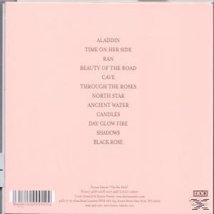 Rosafarbene CD-Hülle mit einer Liste von Songtiteln, die darauf gedruckt sind.