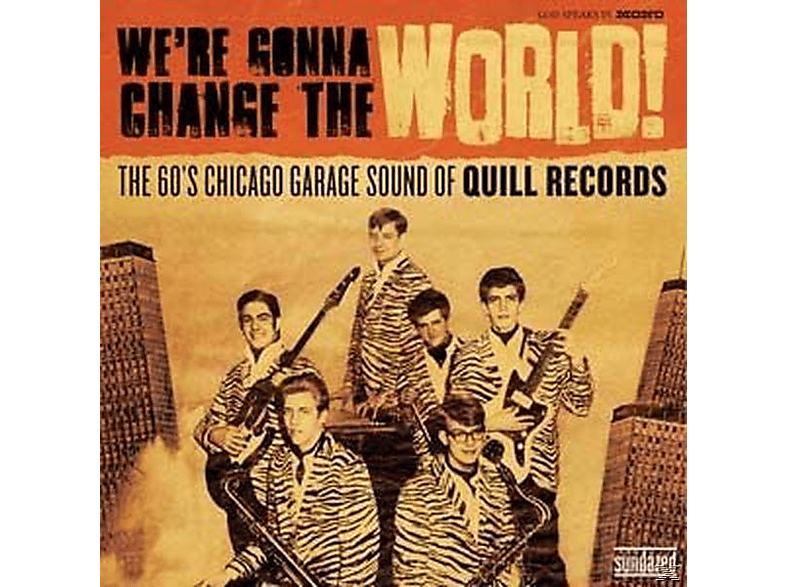 VARIOUS - WE RE GONNA CHANGE THE WORLD - THE 60 S CHICAGO GA  - (Vinyl)