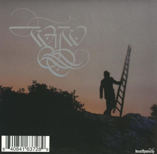 Wear Your Wounds - Wyw  - (CD)