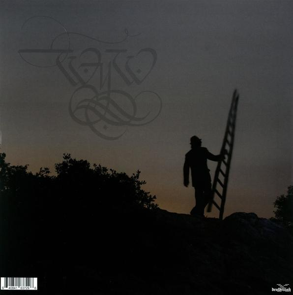 Wear Your Wounds - Wyw  - (Vinyl)