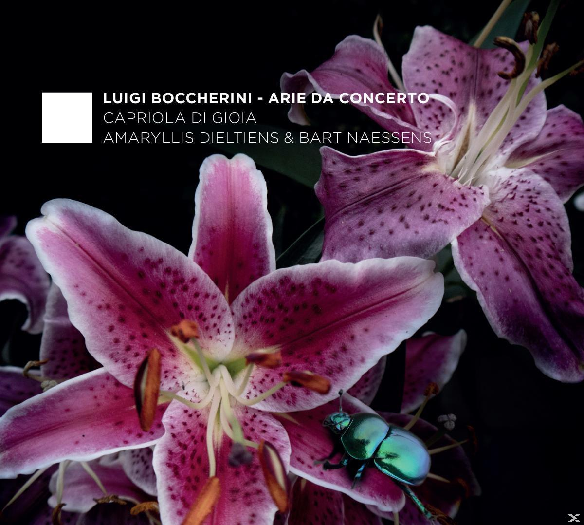 Amaryllis Dieltiens, Capriola Di Gioia - Arie Da Concerto  - (CD)