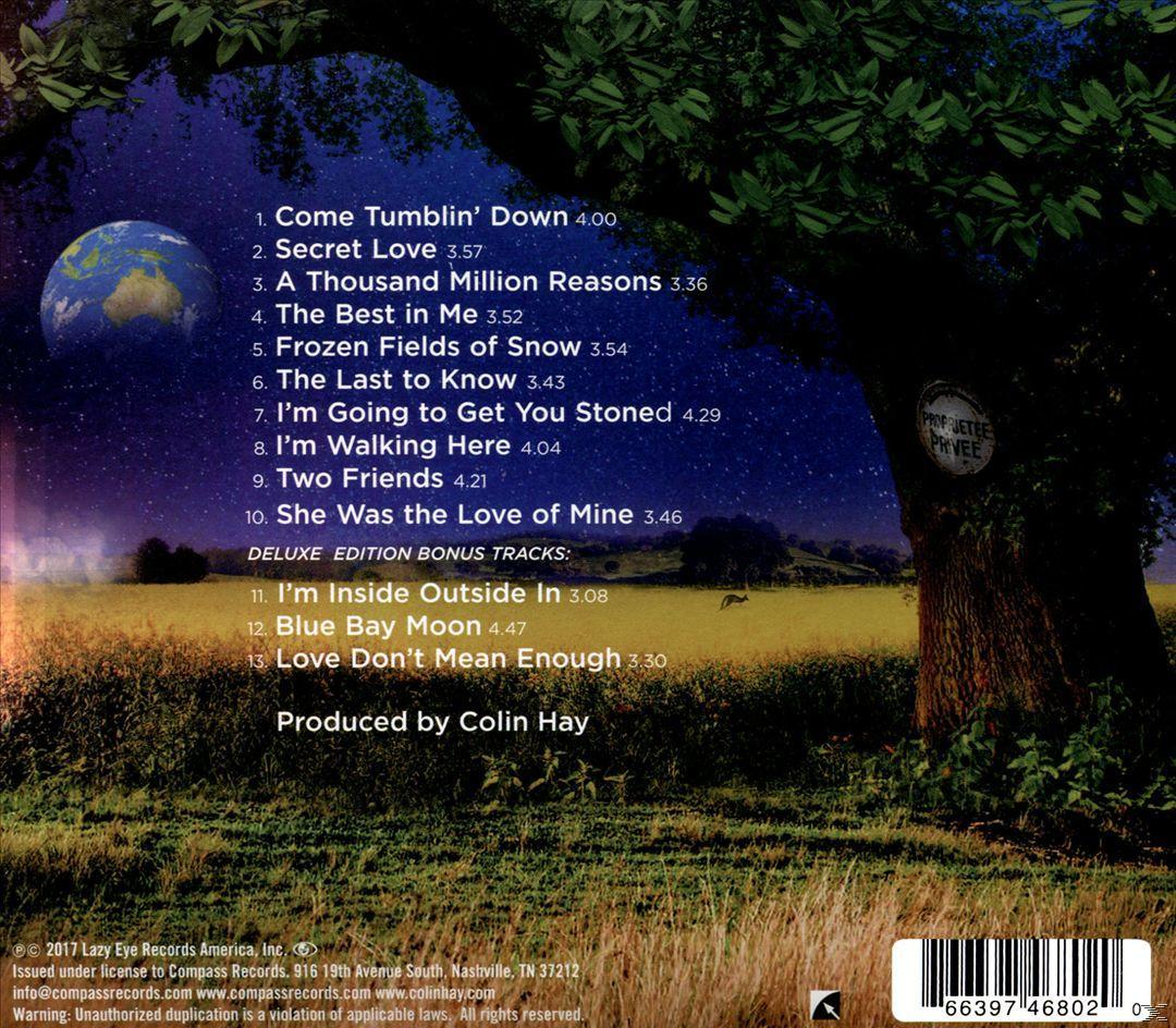 Colin Hay - FIERCE - MERCY (CD)