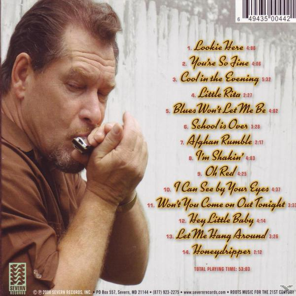 Steve Guyger - - (CD) RADIO BLUES
