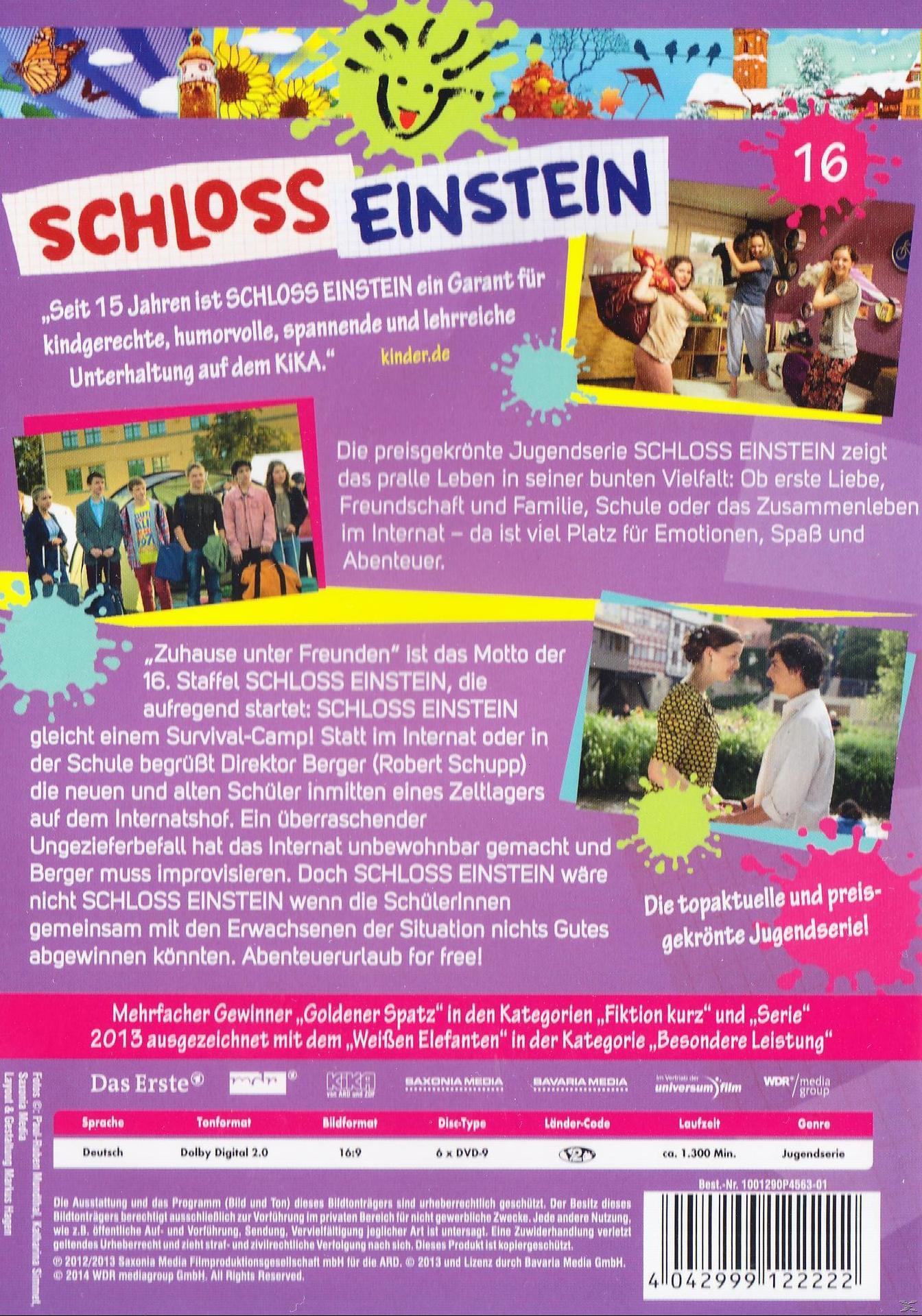 DVD-Cover von Schloss Einstein. Es enthält eine Gruppe von Kindern und Text auf Deutsch.