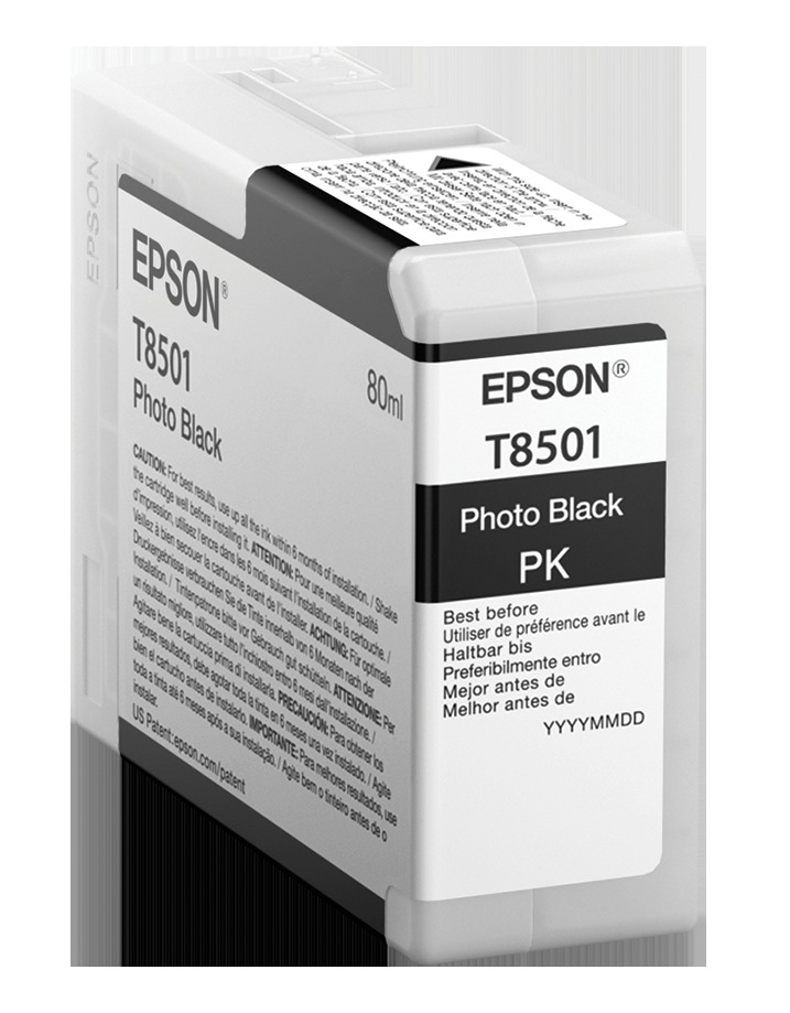EPSON Original Tintenpatrone Schwarz (C13T850100    )