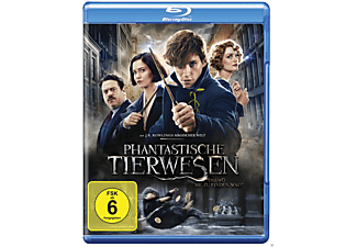 Phantastische Tierwesen und wo sie zu finden sind [Blu-ray]