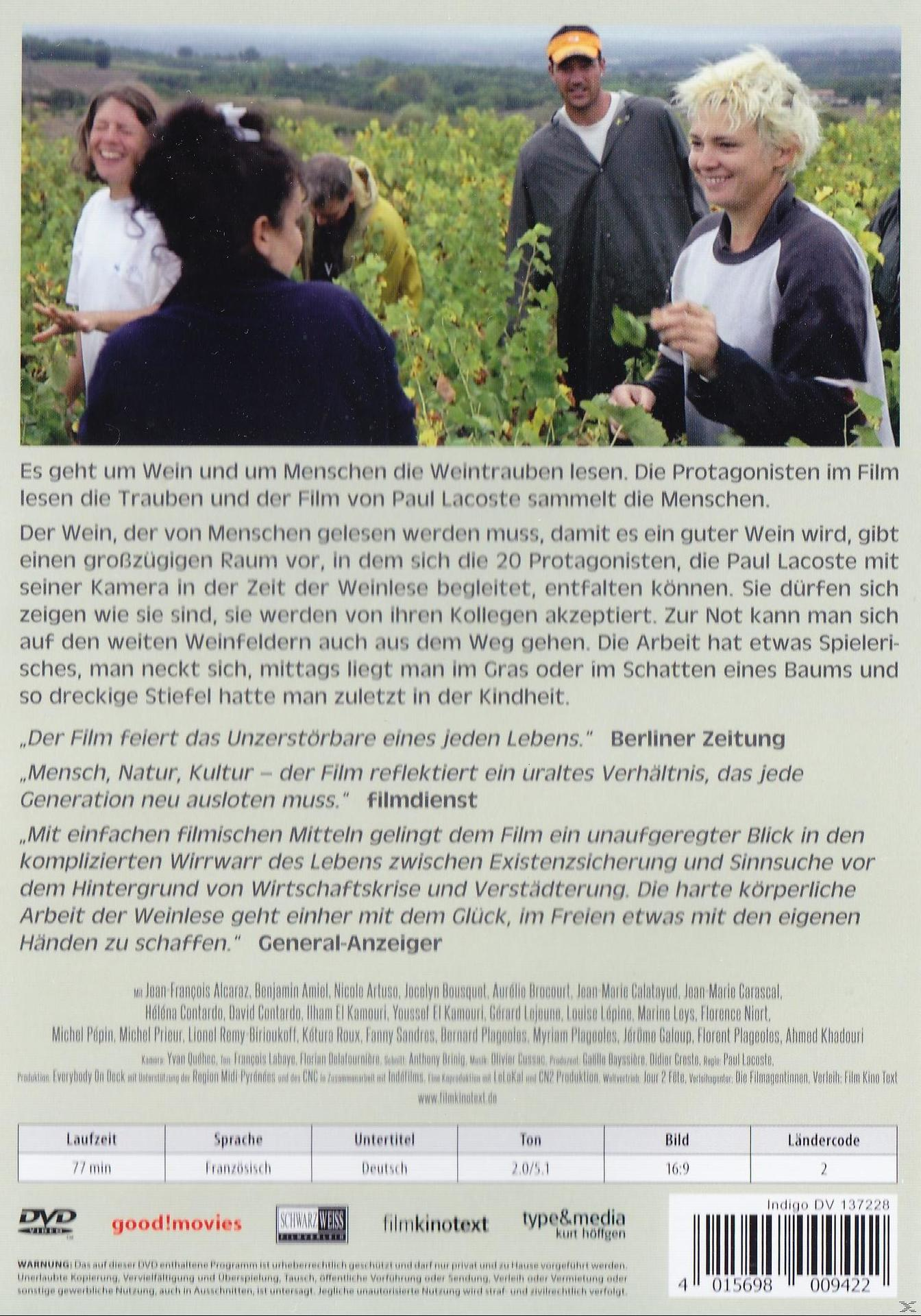 Von Trauben und Menschen DVD