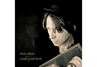 Michael Moravek - In Transit  - (Vinyl)