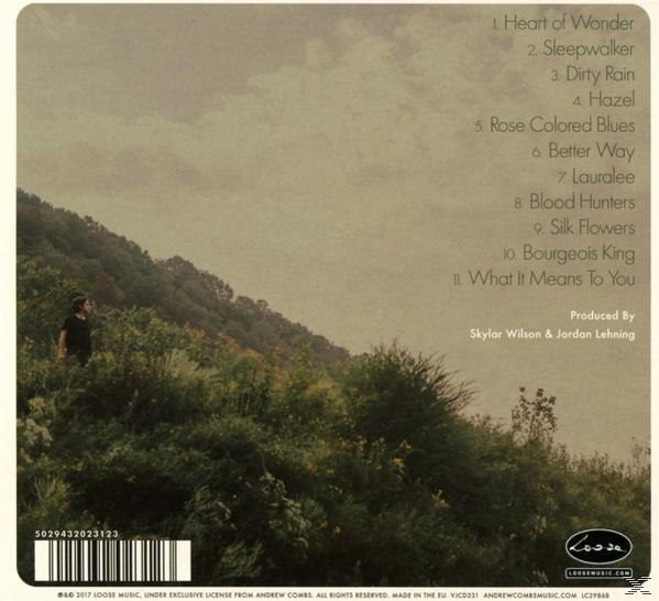 Andrew Combs - Canyons Of My Mind  - (CD)