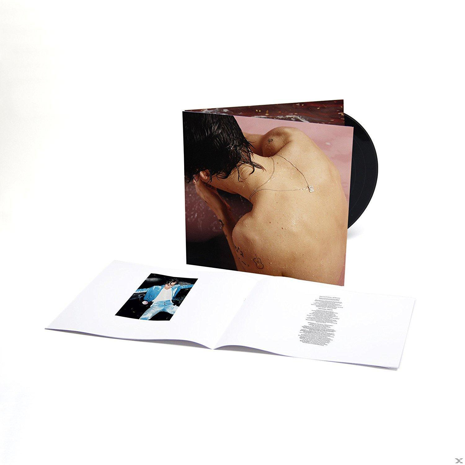 Ein Vinyl-Schallplattenalbum. Ein Mann ist im rosa Wasser. Das Cover ist geöffnet.
