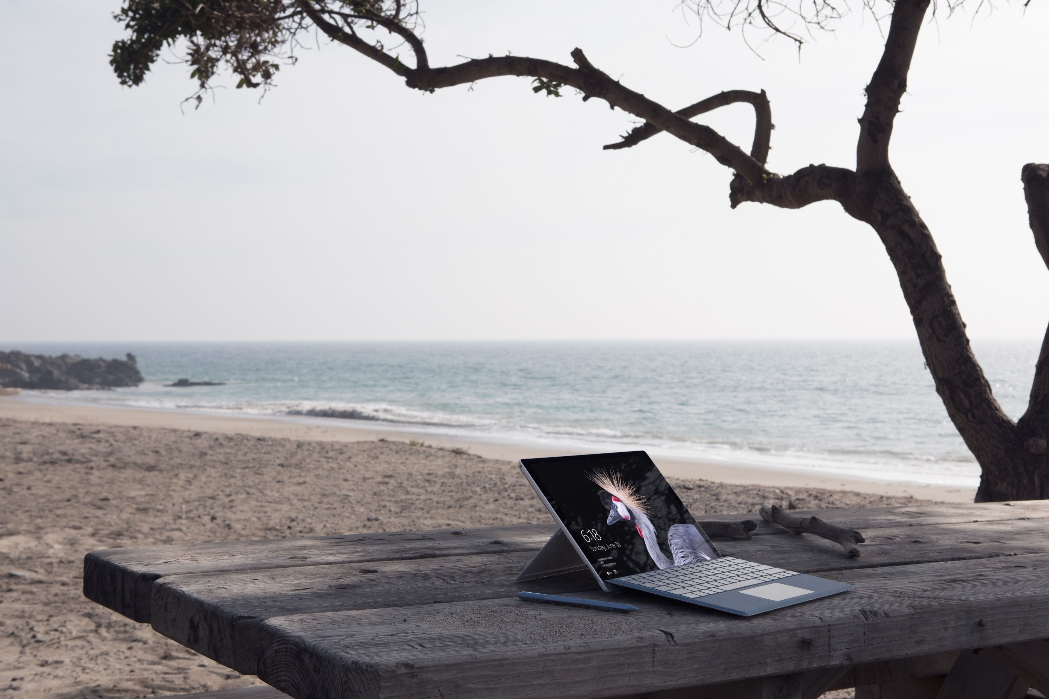 MICROSOFT Surface Pro - 12,3 Zoll - Intel® Core™ i7 i7-7660U - 8 GB - 256 GB - Intel® Iris® Plus 640 - Windows 10 Pro (64 Bit)
