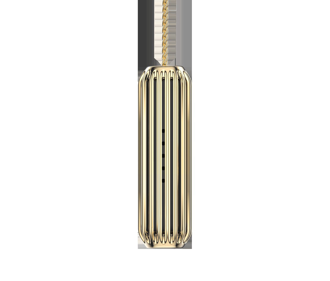 FITBIT FB161ALGD, Ersatz-/Wechselkette, Gold