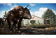 Far Cry 5 NL/FR PS4