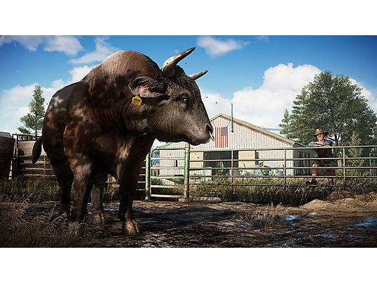 Far Cry 5 NL/FR PS4