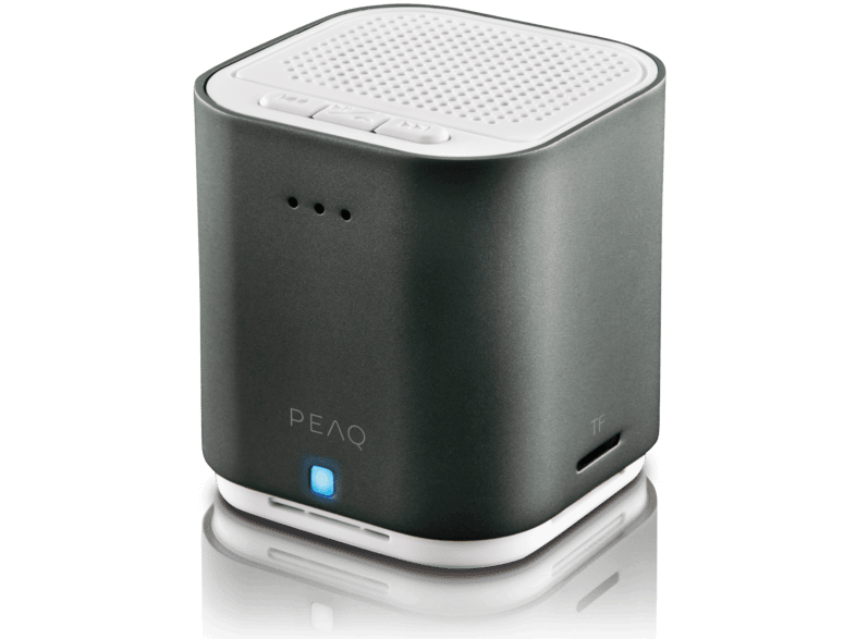 peaq portable bt speaker