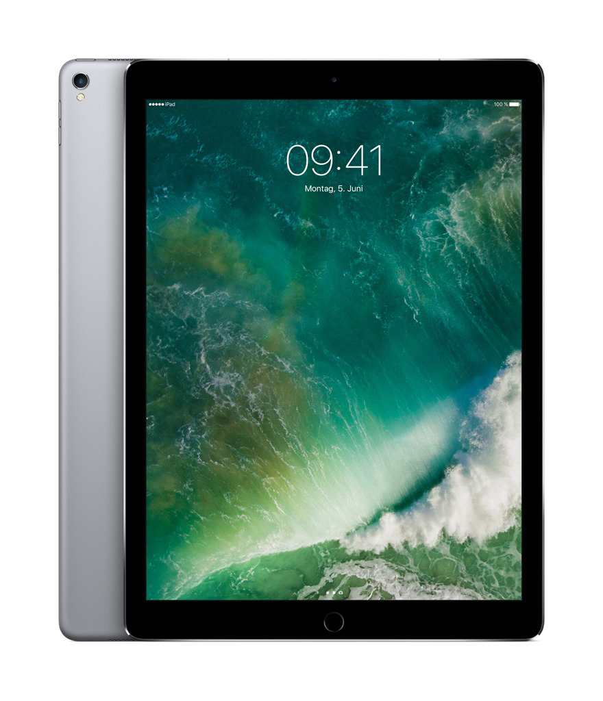 Tablet: iPad mit Display, das ein grünes Bild zeigt, mit silberner Rückseite.