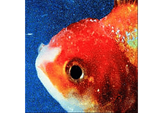 Vince Staples - Big Fish Theory (CD)