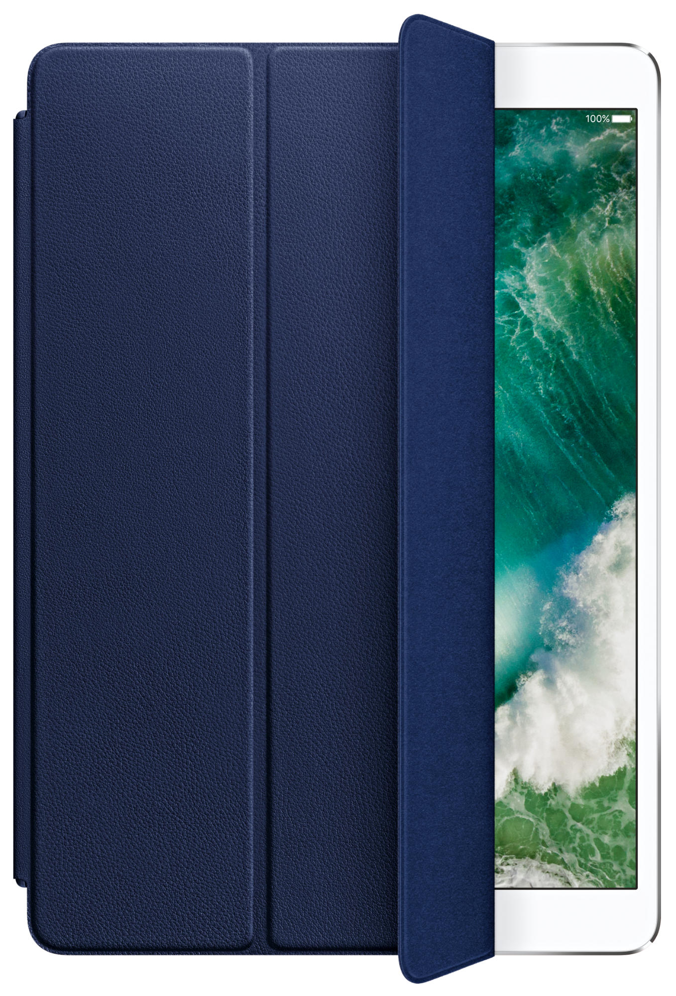 Blaue iPad-Hülle, teilweise geöffnet. Tablet sichtbar mit grünem Wasserbild.