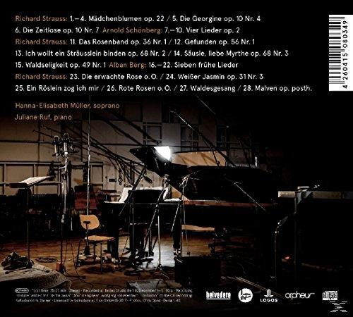 Albumcover mit einer dunklen Raumszene. Ein Klavier steht im Zentrum. Text oben mit Songtiteln und Künstlerinfo.