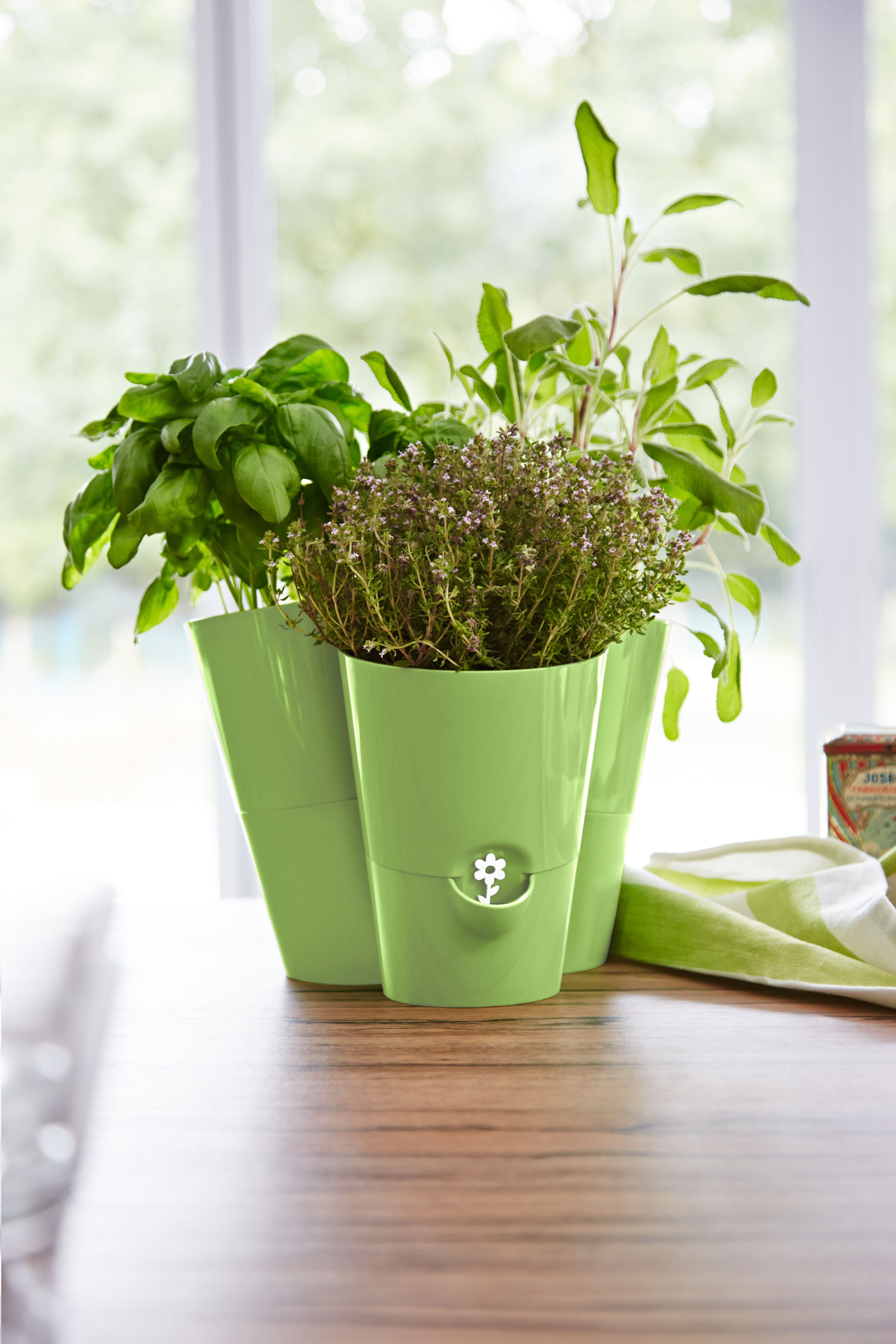 EMSA 517535 Fresh Herbs Trio Kräutertopf Grün