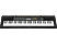 CASIO CTK-2500 - Tastiera musicale (Nero/bianco)