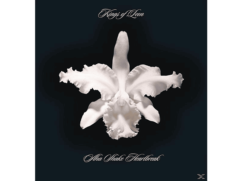 Kings Of Leon Aha Shake Heartbreak (Vinyl) Kings Of Leon auf Vinyl