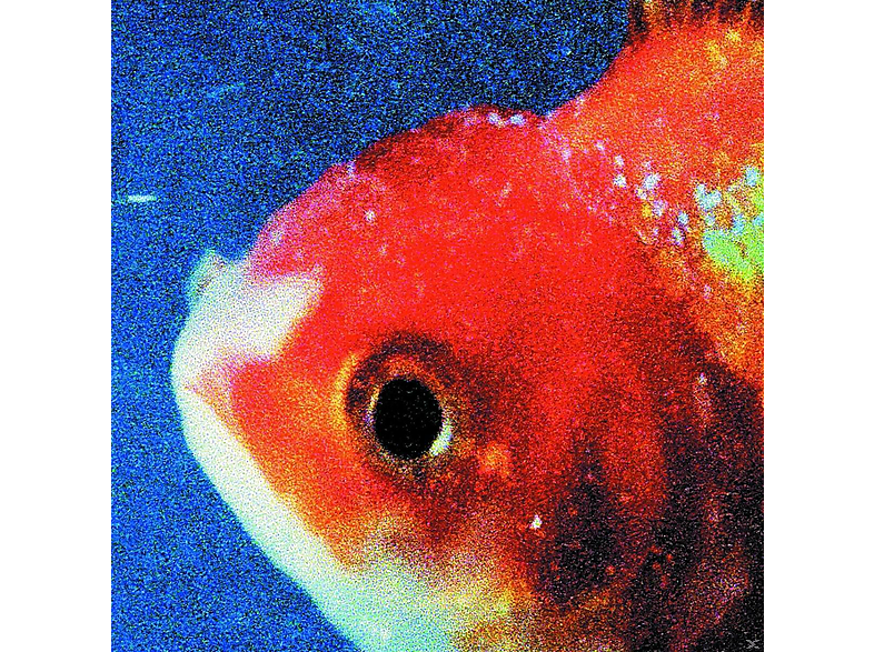 Vince Staples - Big Fish Theory CD