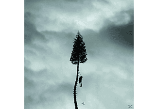 Manchester Orchestra - A Black Mile To The Surface  - (CD)