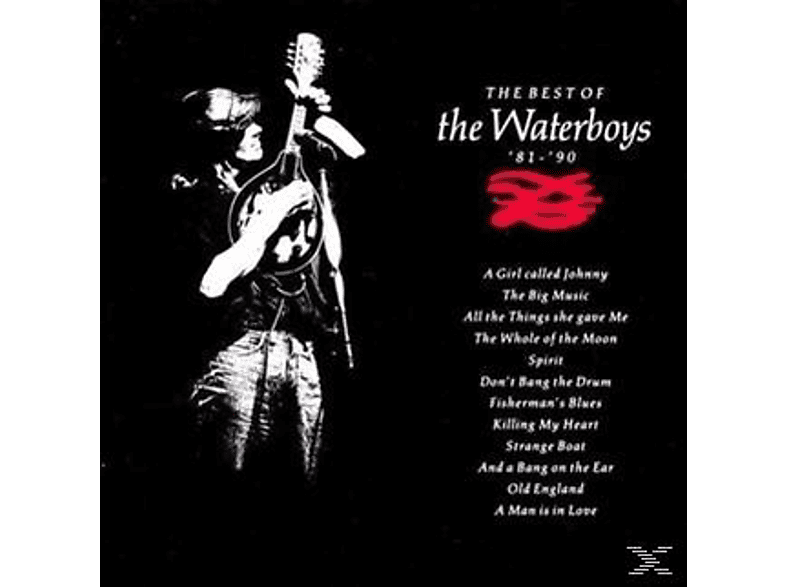 The Waterboys THE THE (CD) - BEST - 81- WATERBOYS OF 90