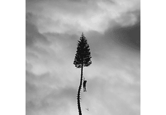 Manchester Orchestra - A Black Mile To The Surface (CD)