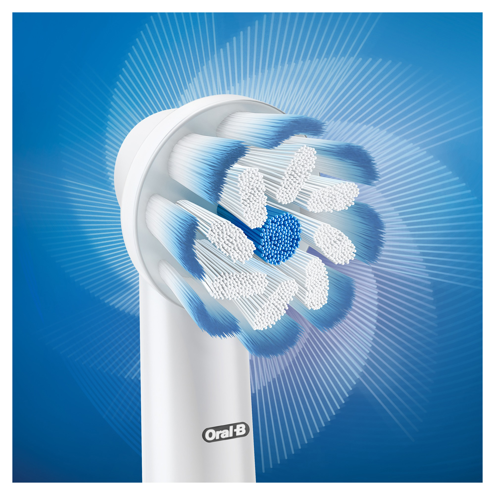 Oral-B Zahnbürstenkopf mit weißen Borsten, blauen Akzenten und einem blauen Mittelteil.