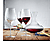 WMF easy Plus - Set di vino (Trasparente)